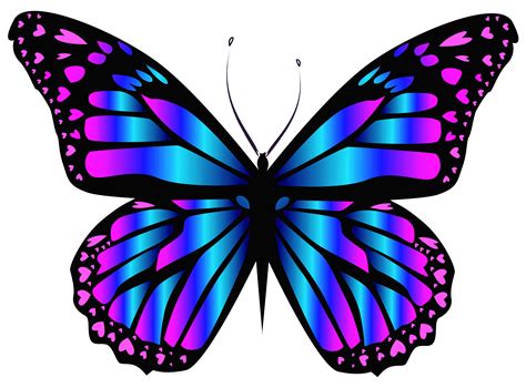 butterfly free clip art|beautiful butterflies clip art.